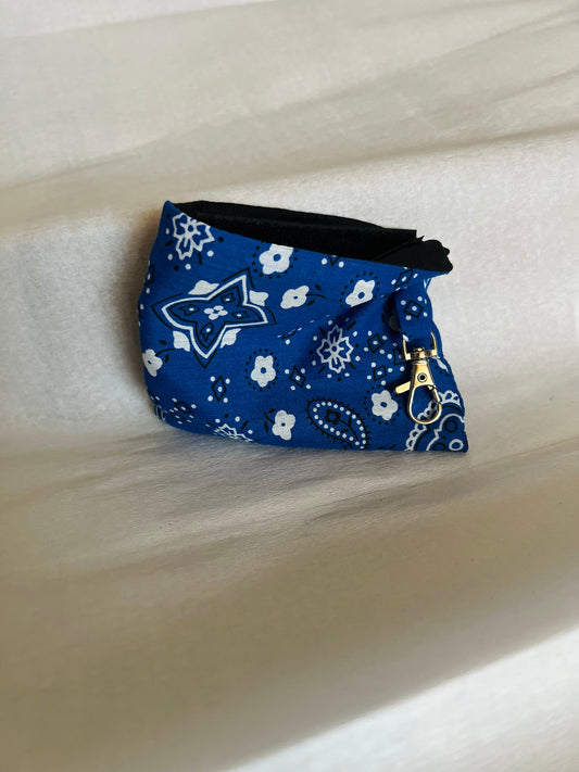 Funky Paisley Dog Walking Pouch - Blue